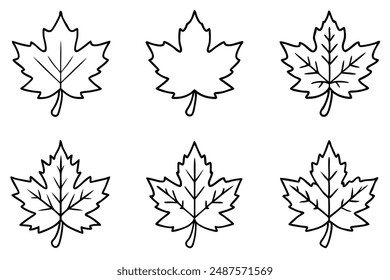 Maple Leaf line art draft model