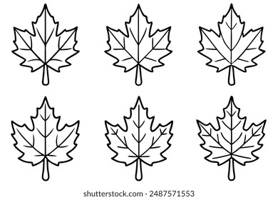 Maple Leaf line art visualization skill