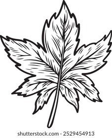Desenho de linha de folha de ácer isolado em fundo branco.