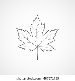 Maple Leaf Line Icon On White Background