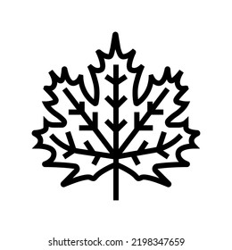 Maple Leaf Line Icon Vector. Maple Leaf Sign. Isolated Contour Symbol Black Illustration