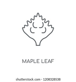 Maple leaf linear icon. Maple leaf concept stroke symbol design. Thin graphic elements vector illustration, outline pattern on a white background, eps 10.
