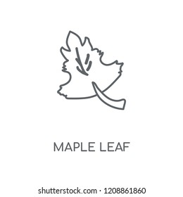 Maple leaf linear icon. Maple leaf concept stroke symbol design. Thin graphic elements vector illustration, outline pattern on a white background, eps 10.