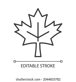 Maple leaf linear icon. Historic landmark. Central element of canadian national flag. Thin line customizable illustration. Contour symbol. Vector isolated outline drawing. Editable stroke