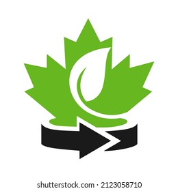 Maple Leaf Logo Design. Canadian Eco Leaf logo. Red Maple Leaf with Green Leaf vector