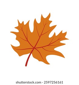 Maple leaf logo design illustration