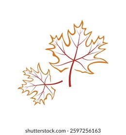 Maple leaf logo design illustration