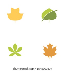 maple leaf logo design inspiration