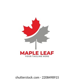 Maple leaf logo design vector