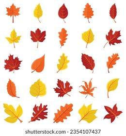 Maple leaf logo design vector illustration template