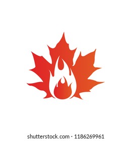 maple leaf logo icon design template vector