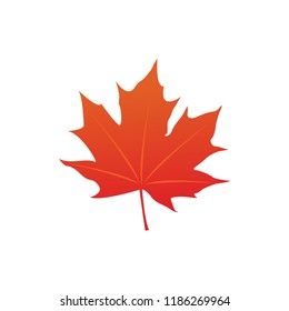 maple leaf logo icon design template vector