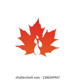 maple leaf logo icon design template vector