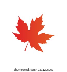 maple leaf logo icon design template vector