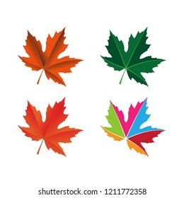 maple leaf logo icon design template vector