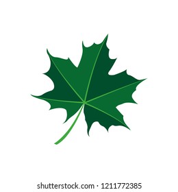 maple leaf logo icon design template vector