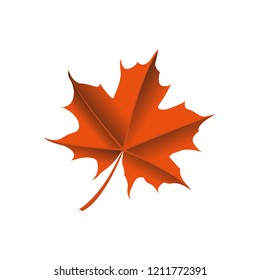 maple leaf logo icon design template vector