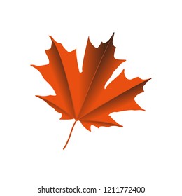 maple leaf logo icon design template vector