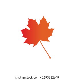 maple leaf logo icon design template vector