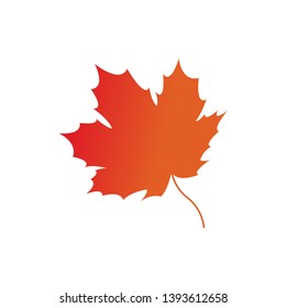 maple leaf logo icon design template vector