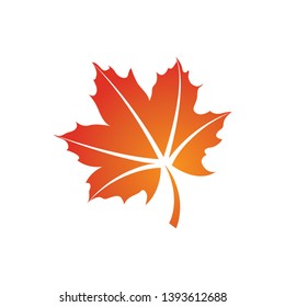 maple leaf logo icon design template vector