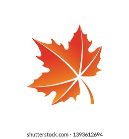 maple leaf logo icon design template vector