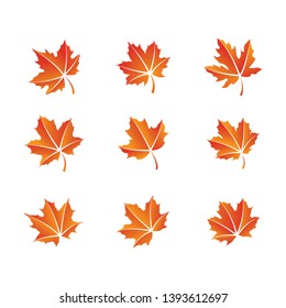 maple leaf logo icon design template vector