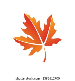 maple leaf logo icon design template vector
