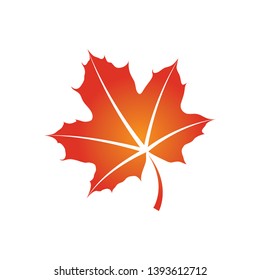 maple leaf logo icon design template vector