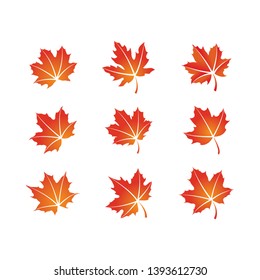 maple leaf logo icon design template vector