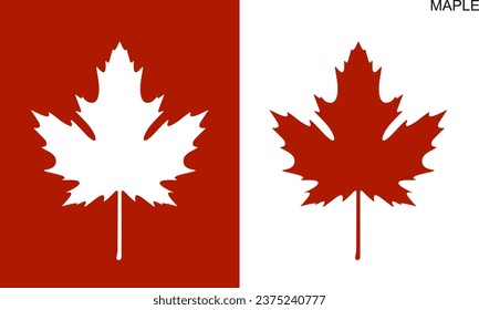 Maple leaf logo. Isolated maple leaf on white background