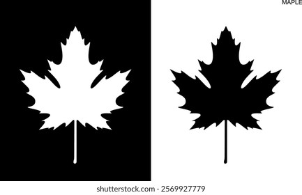 Maple leaf logo. Isolated maple leaf on white background