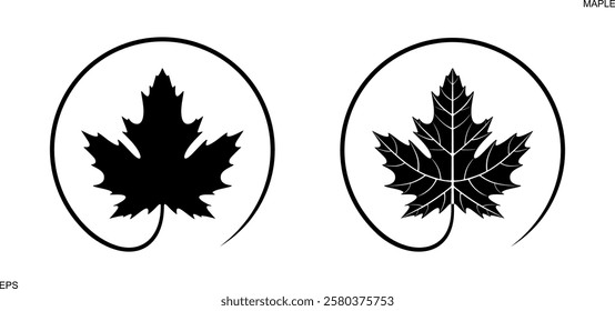 Maple leaf logo. Isolated maple leaf on white background