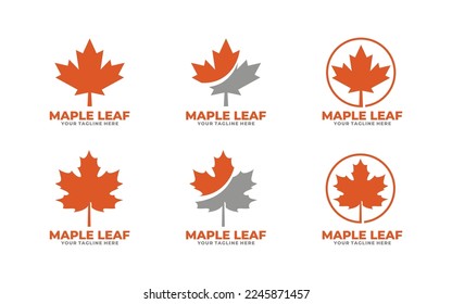 Maple leaf logo set design vector 