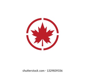 Maple leaf logo template vector icon illustration design 