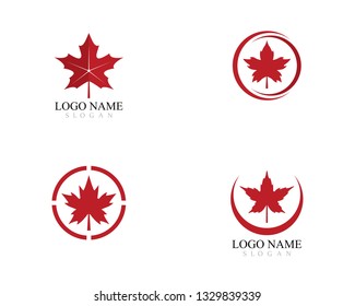 Maple leaf logo template vector icon illustration design 