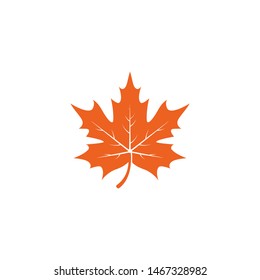 Maple leaf logo template vector icon illustration in flat design 