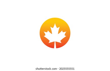 Maple leaf logo template vector icon illustration, Maple leaf vector illustration, Canadian vector symbol, Red maple leaf, Canada symbol, Red Canadian Maple Leaf