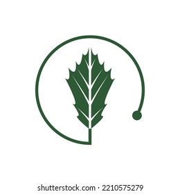 Maple leaf logo Template vector icon illustration design