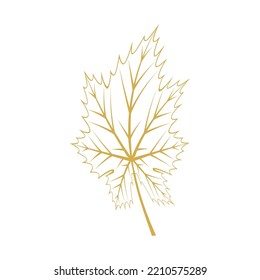 Maple leaf logo Template vector icon illustration design