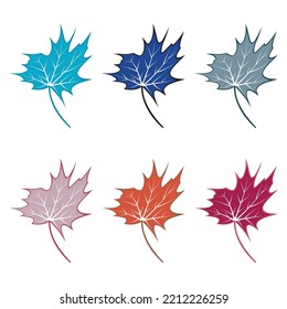 Maple leaf logo Template vector icon illustration design