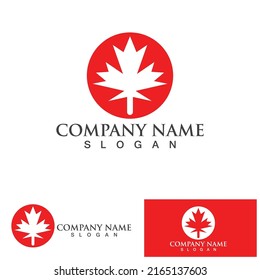 Maple leaf  logo vector illustration design template