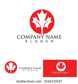 Maple leaf  logo vector illustration design template