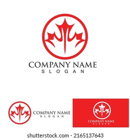 Maple leaf  logo vector illustration design template