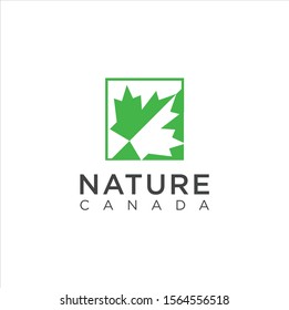 Maple leaf logo. Vector leaves of maple trees, a symbol of Canada country and nature. Vector logo template  . Leaf Canada Plant Logo Template Flat Color Template . Maple Leaf Logo .