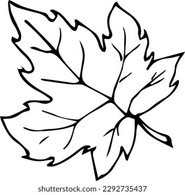 A maple leaf made in a graph