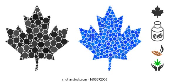 Maple leaf mosaic of circle elements in different sizes and color hues, based on maple leaf icon. Vector round elements are organized into blue mosaic.