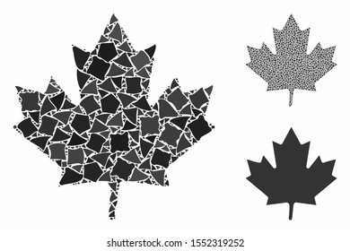 Maple leaf mosaic of raggy elements in different sizes and color tints, based on maple leaf icon. Vector rough elements are united into collage. Maple leaf icons collage with dotted pattern.