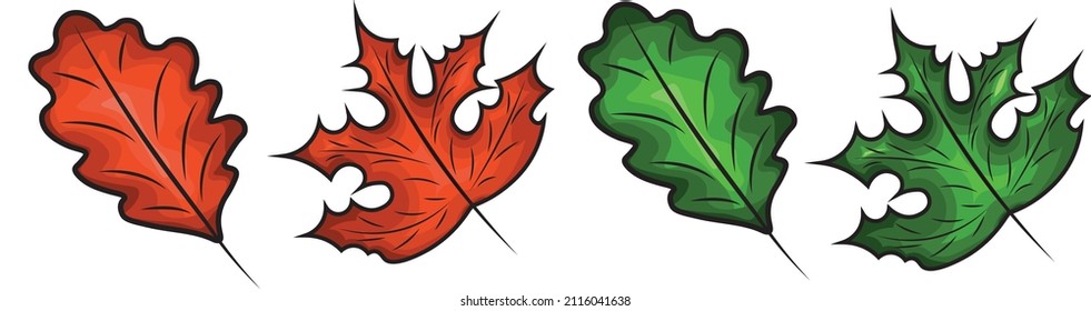 Ahornblatt und Eichenblatt grün und Herbstorange. Vektorgrafik auf weißem Hintergrund. Ahorn- und Eichenblattsymbol des Herbstes, Symbol.