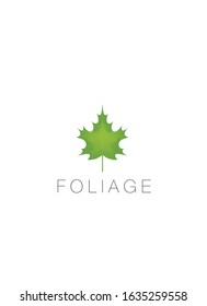 Maple leaf on a white background